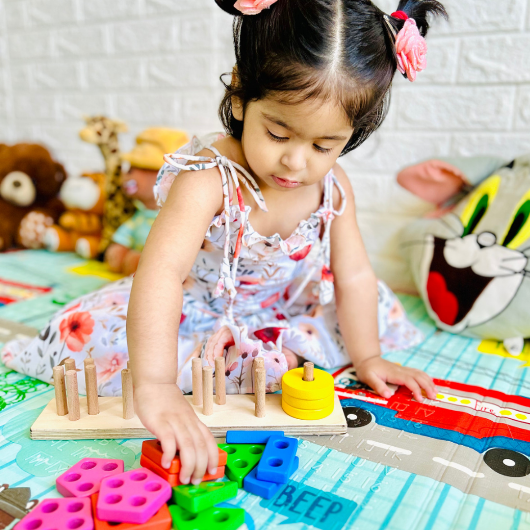 Montessori Educational Toy