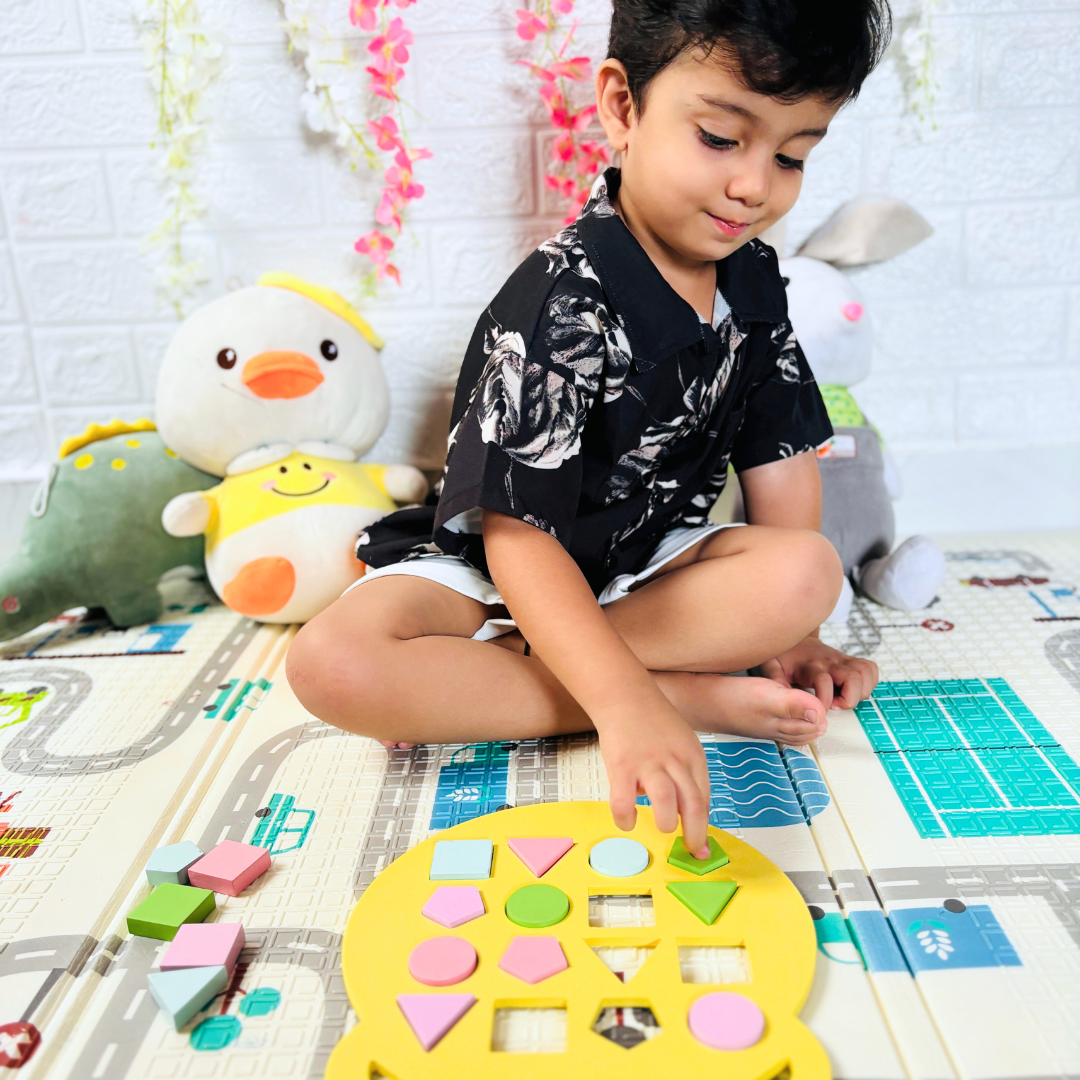 Wooden Shape Sorter Toy