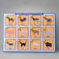 General awareness activity with 5 sheets and 60 knobs